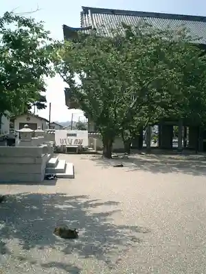 光明寺のその他建物