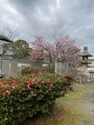 白峰宮(香川県)