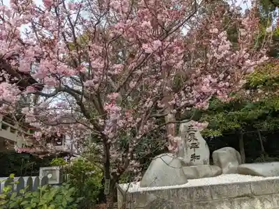 伊豫豆比古命神社の自然