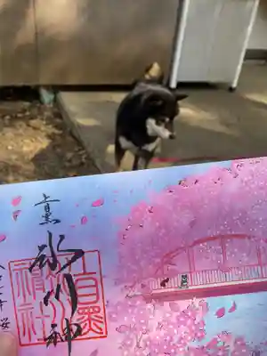 上目黒氷川神社(東京都)