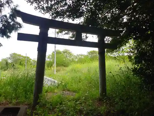 神社(名称不明)の鳥居