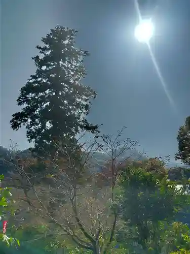 白山神社の自然