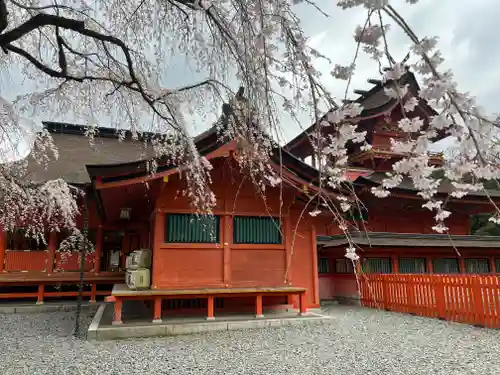 富士山本宮浅間大社(静岡県)
