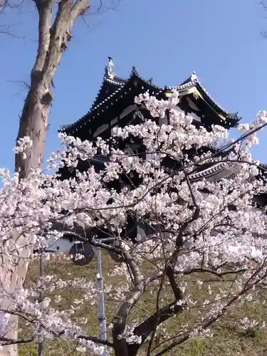 伊部波島大神(新潟県)