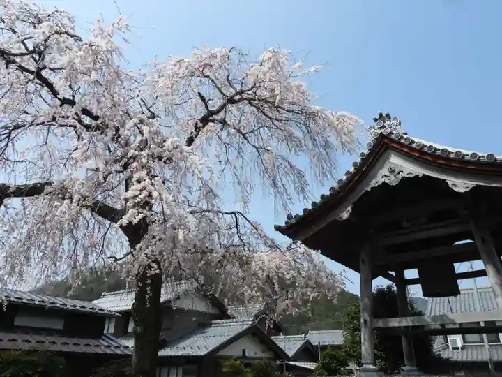 勝専寺(滋賀県)