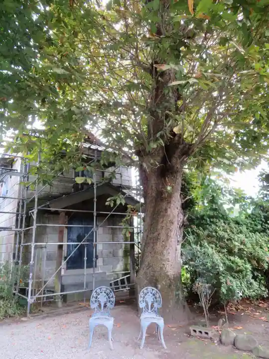 今市報徳二宮神社のその他建物