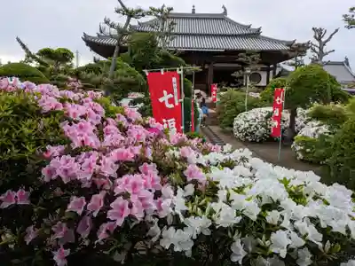 法雲寺(大阪府)