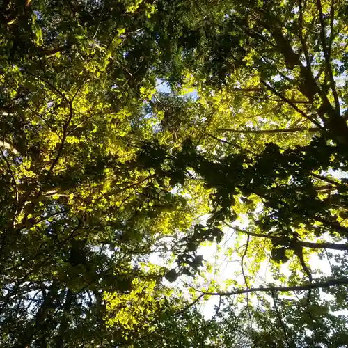 四所神社の自然