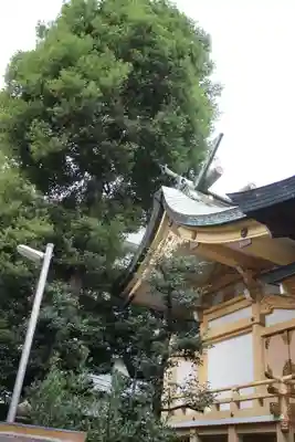 天祖神社の本殿・本堂