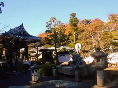 天嶽院の景色