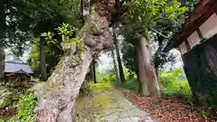 河上三神社(京都府)