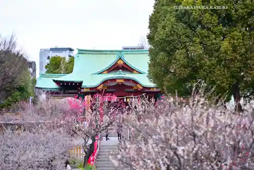 亀戸天神社(東京都)