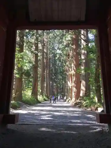 戸隠神社奥社の自然