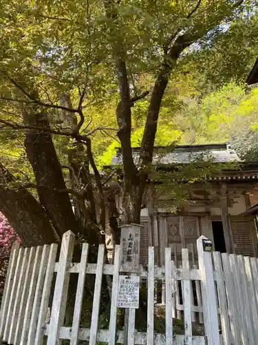 月輪寺(京都府)