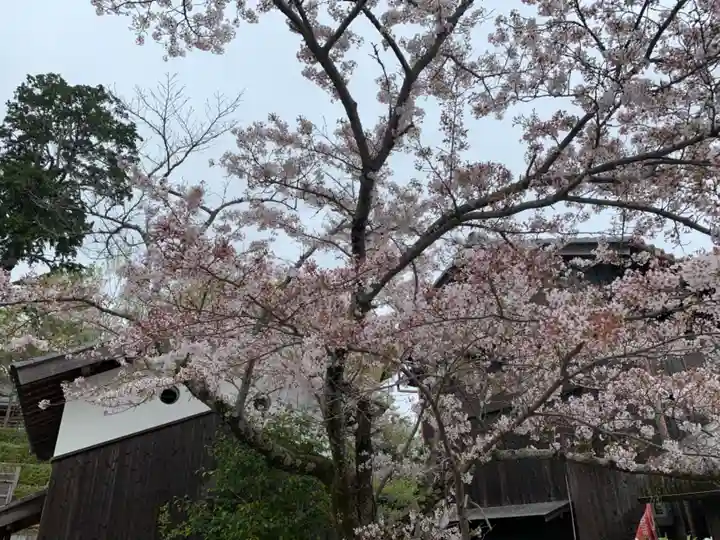 顕宗仁賢神社の自然