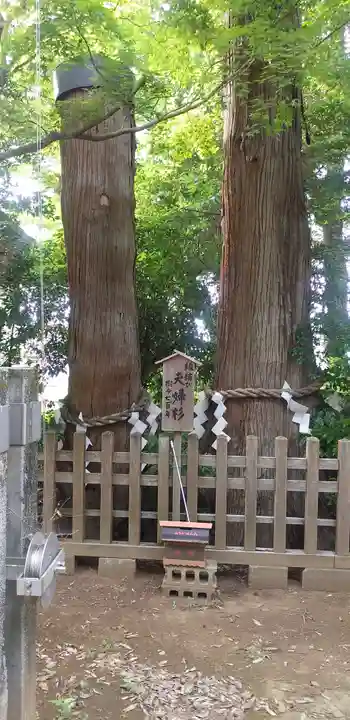 鹿嶋神社(茨城県)