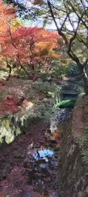 東福禅寺(東福寺)(京都府)