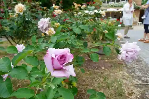 霊山寺の庭園