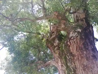 八幡神社(福島県)