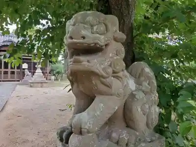 三社神社の狛犬