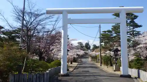 開成山大神宮の鳥居