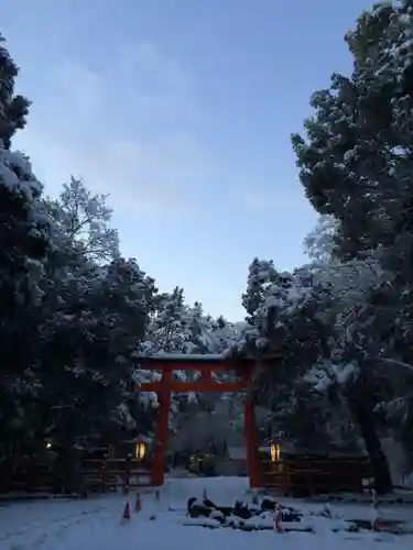 賀茂御祖神社（下鴨神社）の鳥居