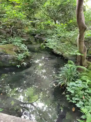 光明寺瑠璃光院(京都府)