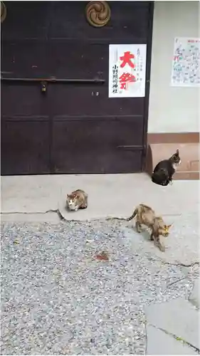 小野照崎神社の動物