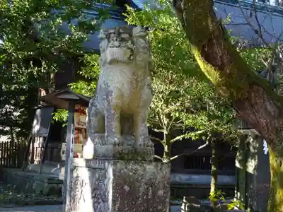 報徳二宮神社の狛犬