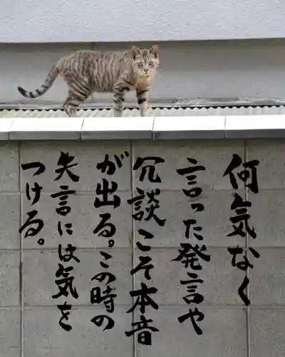 専念寺(大阪府)