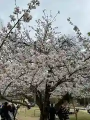 興福寺 南円堂(奈良県)