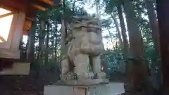 椿大神社の狛犬