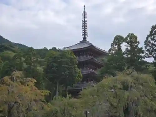 醍醐寺(京都府)