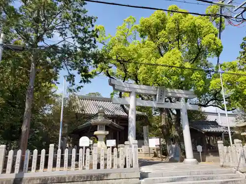 野口神社の鳥居