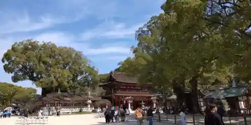 太宰府天満宮(福岡県)