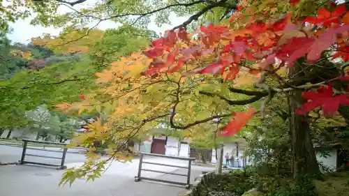 南禅寺の{uncategorized: "未分類", other: "その他", undefined: "問題あり", building: "その他建物", grave: "お墓", sacred_gate: "鳥居", guardian: "狛犬", statue: "像", buddha: "仏像", history: "歴史", nature: "自然", garden: "庭園", animal: "動物", pagoda: "塔", temizu: "手水舎", mountain_gate: "山門・神門", sanctuary: "本殿・本堂", subordinate: "末社・摂社", art: "芸術", scenery: "景色", jizo: "地蔵", ema: "絵馬", goshuin: "御朱印", omikuji: "おみくじ", items: "授与品その他", amulet: "お守り", goshuincho: "御朱印帳", eats: "食事", festival: "お祭り", votive_dance: "神楽", shichigosan: "七五三参", wedding: "結婚式", experience: "体験その他", initially: "初詣", around: "周辺", anti_infection: "感染症対策"}
