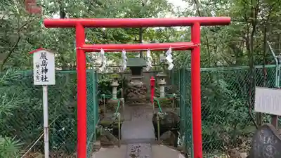 赤堤六所神社の鳥居