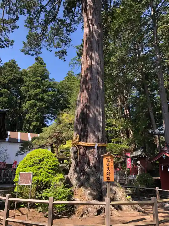 北口本宮冨士浅間神社(山梨県)