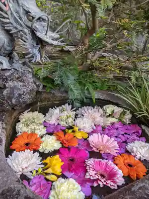 玉眞院玉川大師の手水舎