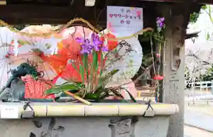 三津厳島神社(愛媛県)(2026年04月11日(土) 16時31分21秒投稿)