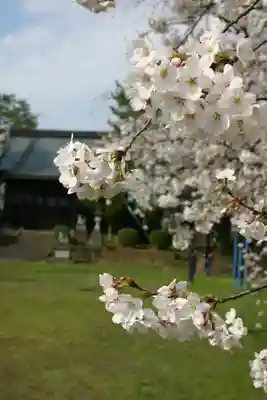 琵琶神社の自然