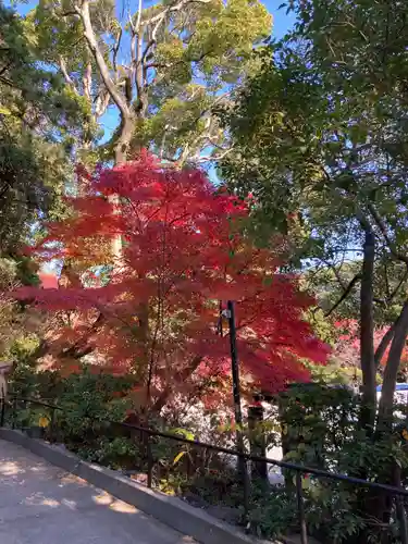 鎌倉宮(神奈川県)