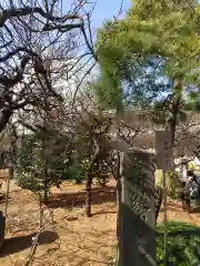 湯島天満宮の庭園