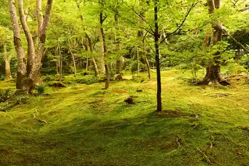 祇王寺(京都府)