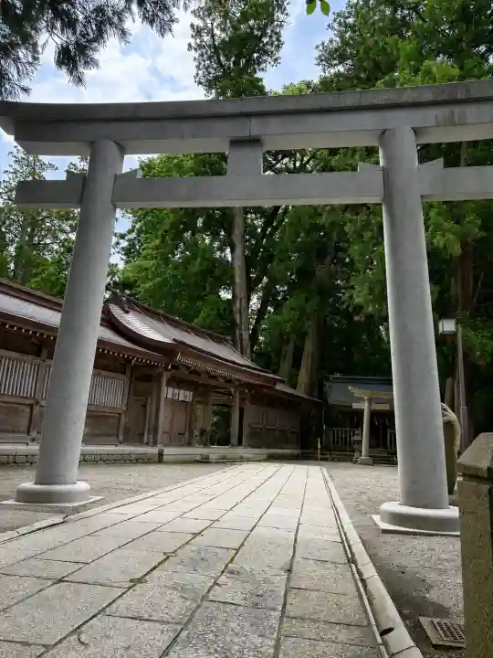 白山比咩神社の{uncategorized: "未分類", other: "その他", undefined: "問題あり", building: "その他建物", grave: "お墓", sacred_gate: "鳥居", guardian: "狛犬", statue: "像", buddha: "仏像", history: "歴史", nature: "自然", garden: "庭園", animal: "動物", pagoda: "塔", temizu: "手水舎", mountain_gate: "山門・神門", sanctuary: "本殿・本堂", subordinate: "末社・摂社", art: "芸術", scenery: "景色", jizo: "地蔵", ema: "絵馬", goshuin: "御朱印", omikuji: "おみくじ", items: "授与品その他", amulet: "お守り", goshuincho: "御朱印帳", eats: "食事", festival: "お祭り", votive_dance: "神楽", shichigosan: "七五三参", wedding: "結婚式", experience: "体験その他", initially: "初詣", around: "周辺", anti_infection: "感染症対策"}