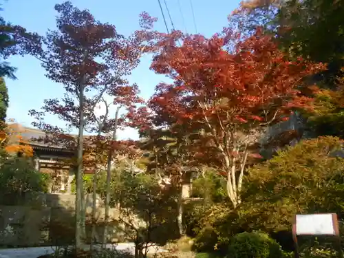 海蔵寺の景色