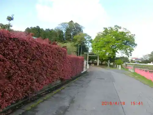 大前神社(栃木県)