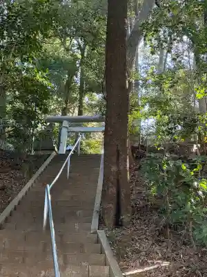 中新宿富士浅間神社の{uncategorized: "未分類", other: "その他", undefined: "問題あり", building: "その他建物", grave: "お墓", sacred_gate: "鳥居", guardian: "狛犬", statue: "像", buddha: "仏像", history: "歴史", nature: "自然", garden: "庭園", animal: "動物", pagoda: "塔", temizu: "手水舎", mountain_gate: "山門・神門", sanctuary: "本殿・本堂", subordinate: "末社・摂社", art: "芸術", scenery: "景色", jizo: "地蔵", ema: "絵馬", goshuin: "御朱印", omikuji: "おみくじ", items: "授与品その他", amulet: "お守り", goshuincho: "御朱印帳", eats: "食事", festival: "お祭り", votive_dance: "神楽", shichigosan: "七五三参", wedding: "結婚式", experience: "体験その他", initially: "初詣", around: "周辺", anti_infection: "感染症対策"}