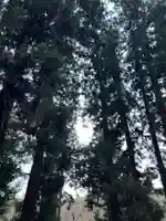 大宮温泉神社の自然