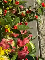 上尾御嶽神社の手水舎